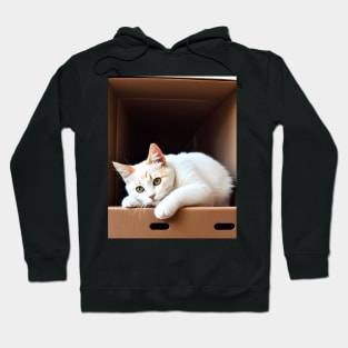 Cat inside a box - Modern digital art Hoodie